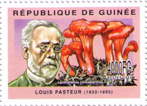 Луи Пастер, грибы
